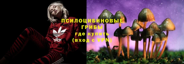 a pvp Армянск