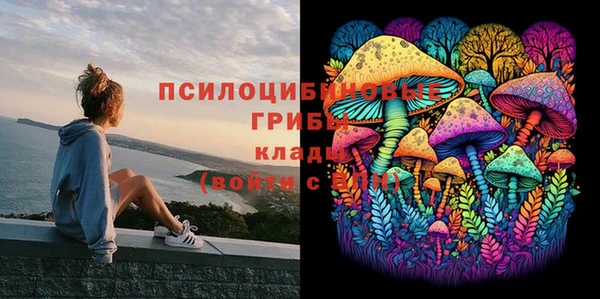 a pvp Армянск