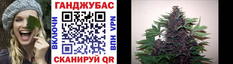 купить цена Камбарка MEGA Каннабис планчик